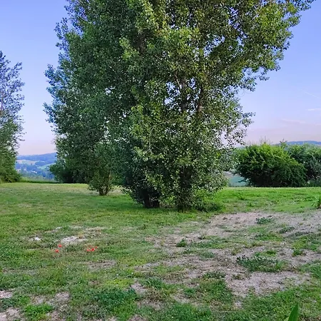 Le Solquirit - Avec Piscine Et Vue Imprenable 펜션 콩돔
